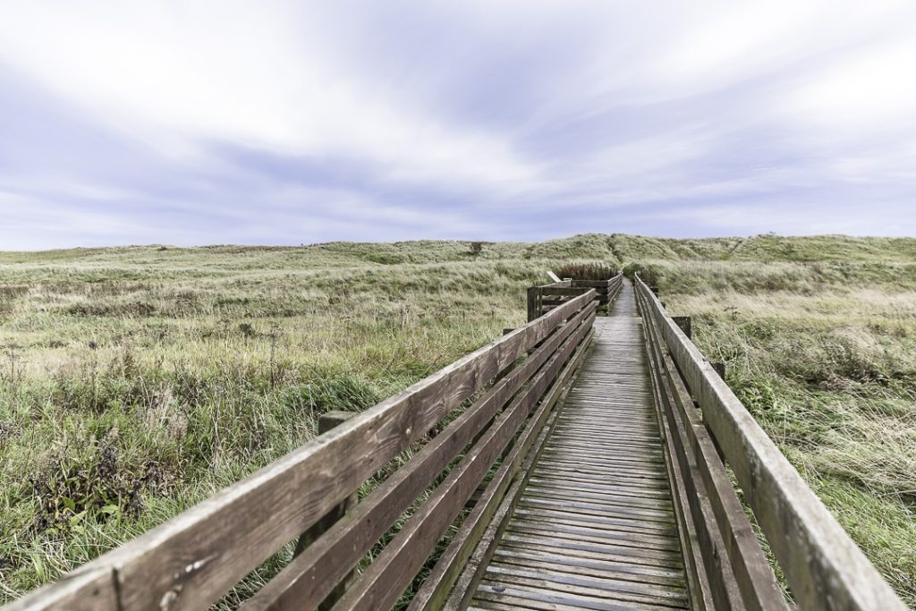 La réserve de Saint Cyrus en Ecosse #visitbritain #scotspirit