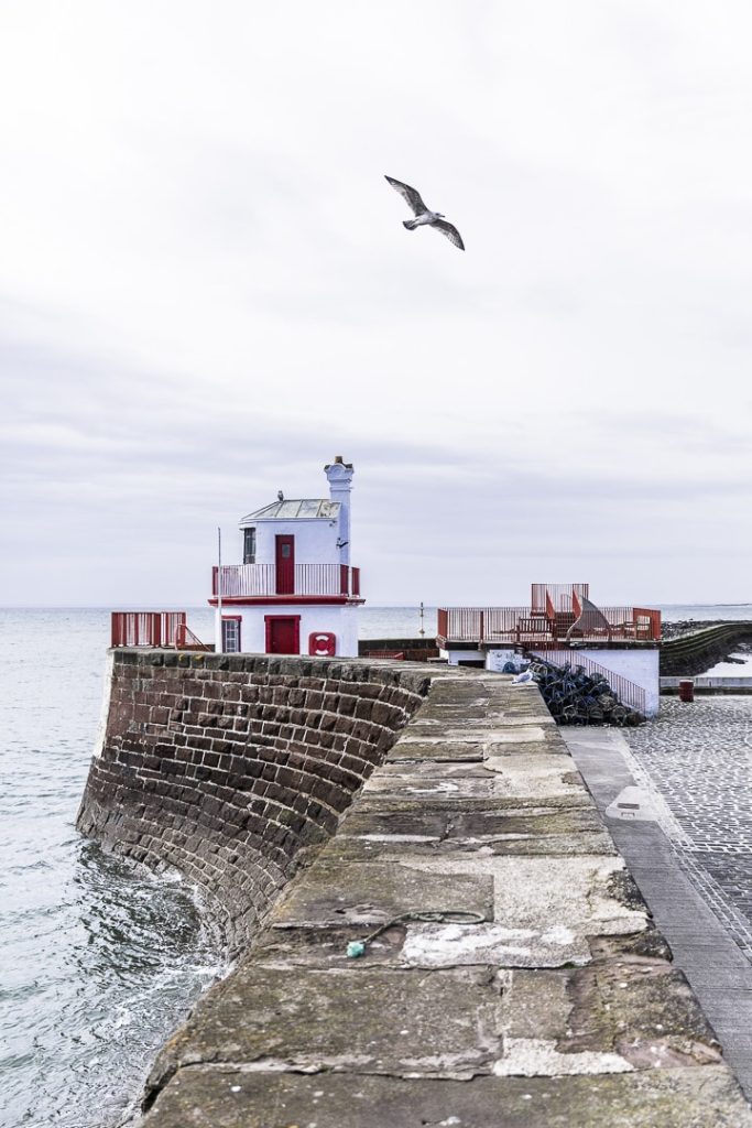 A l’entrée du port de Arbroath, un joli phare rouge au-dessus duquel volent les mouettes à l’affût d’un petit poisson qui serait intentionnellement relaché par les pêcheurs... Elles volent, elles chantent et animent le port paisible en ce matin d’automne. #lovegreatbritain #scotspirit