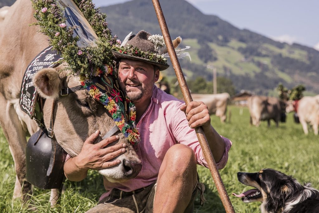 L'amour de l'éleveur pour sa vache lors de la fête des transhumances dans le Tirol en Autriche #tyrol #autriche #transhumance