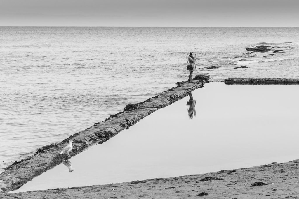 L'homme et la mouette au pied du chateau de Saint Andrews #visitscotland #ecosse