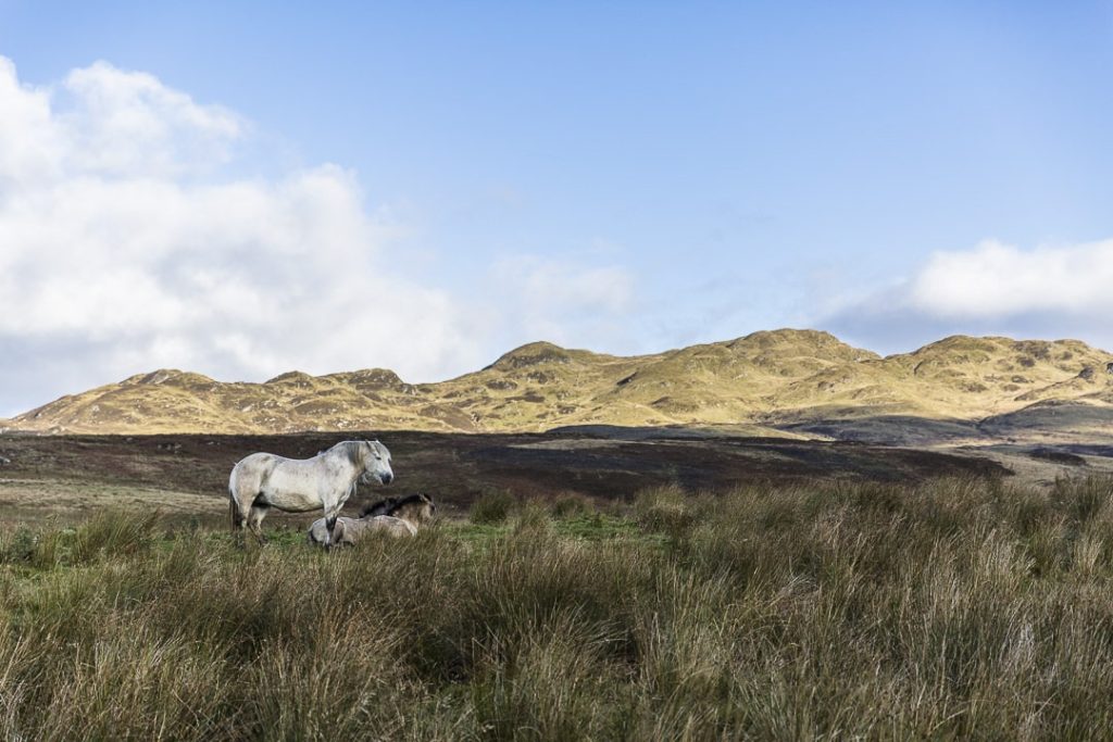 Sublime paysage des Highlands en Ecosse #visitscotland #ecosse