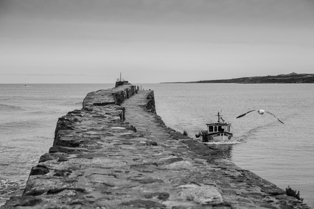 Retour de pêche à Saint Andrews #visitscotland #ecosse