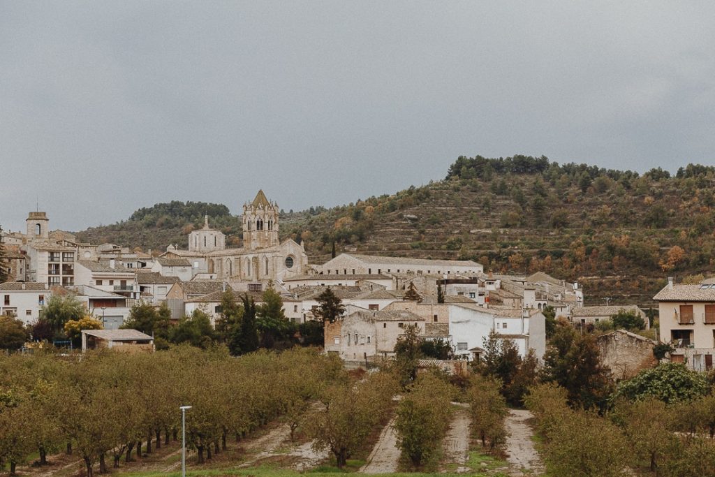 Vue sur le village de Vallbona de les Monges #catalogne #roadtrip
