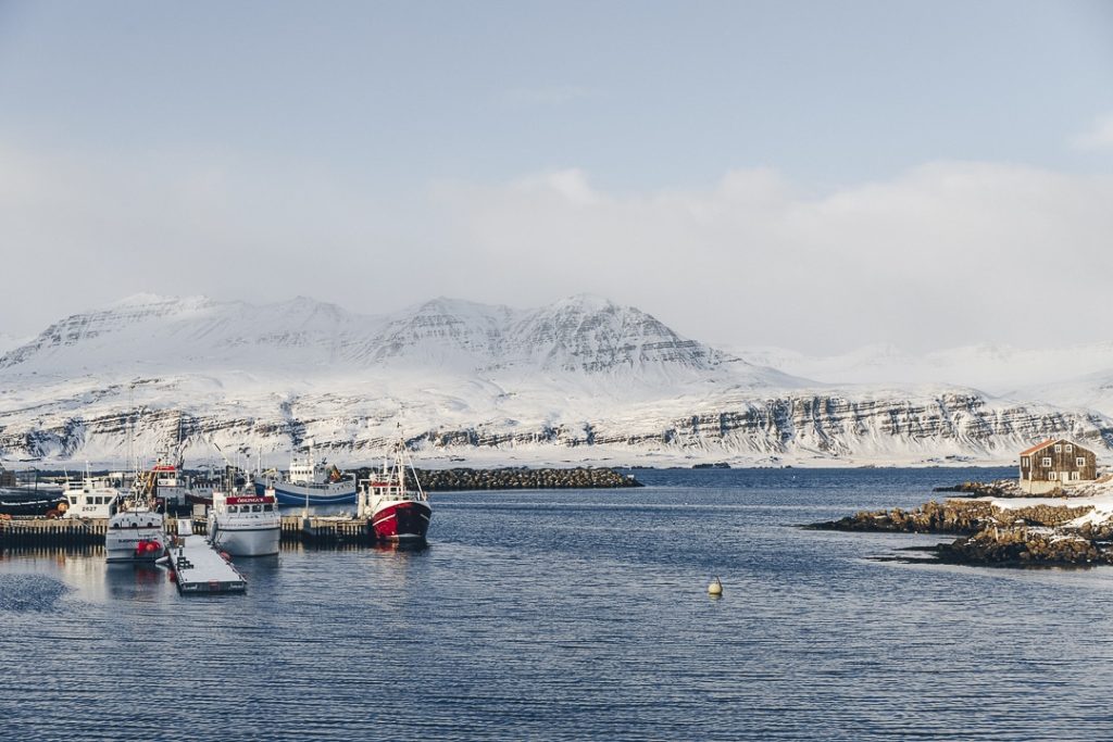 Port de djupivogur dans les fjords de l'est enneigés