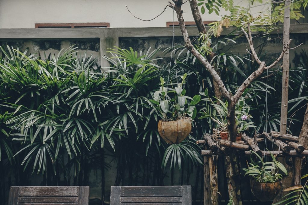 Dormir au Yim Yam hostel lors d'une escale de 3 jours à Bangkok #thailande #bangkok