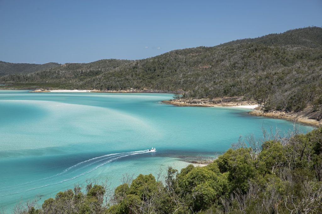 Vue sur Whitehaven beach depuis Hill Inlet