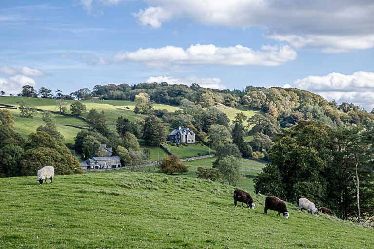 Le parc national de Lake district est à seulement 1h30 de route de Manchester. A faire sur plusieurs jours ! #bestofMCR #lovegreatbritain #angleterre