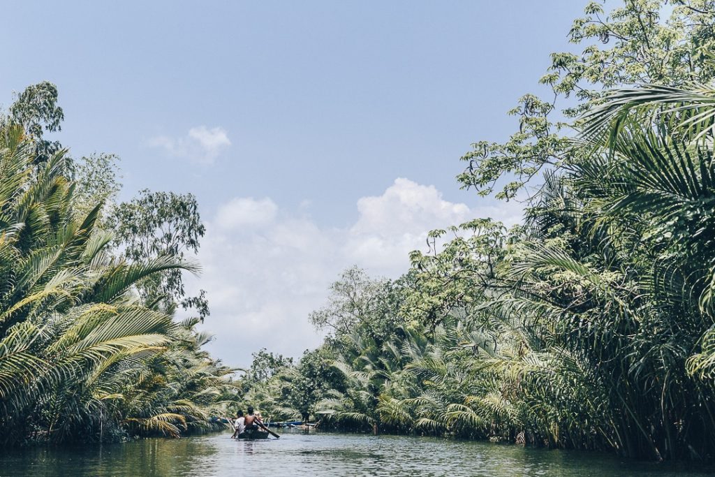 La cathédrale verte et sa végétation luxuriante à faire en kayak lors d'un séjour à Kampot - Cambodge