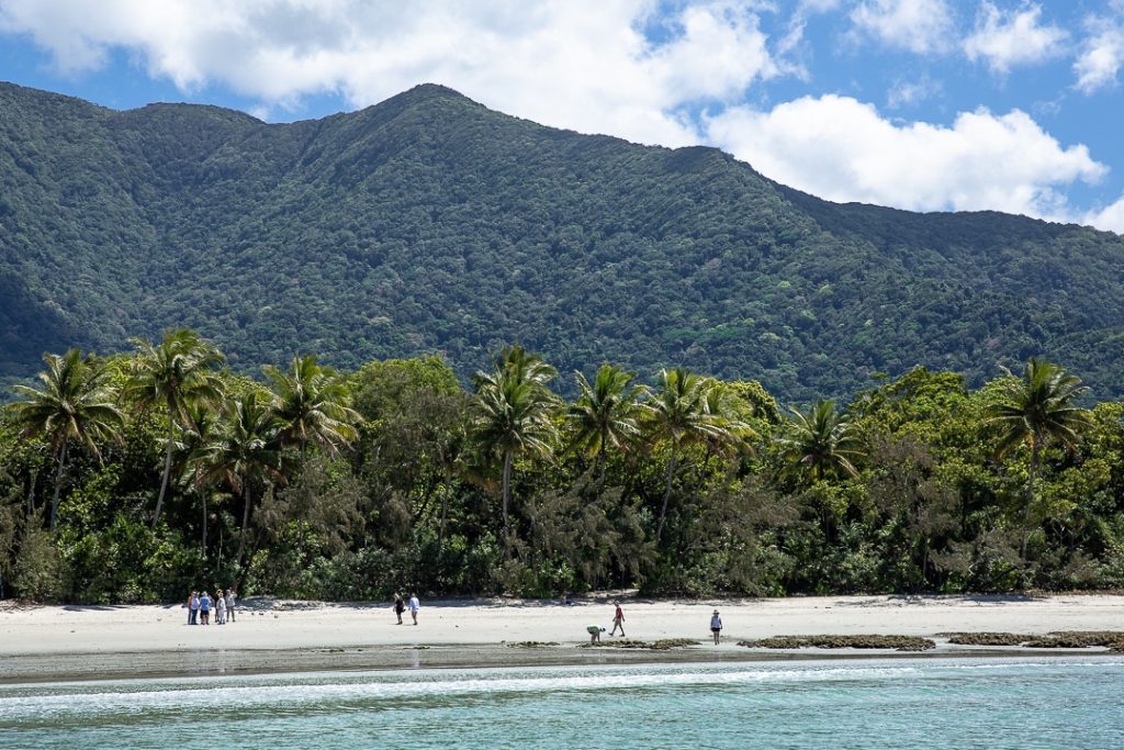Cape Tribulation ou quand la foret tropicale de Daintree tombe dans la mer de corail #queensland #australie
