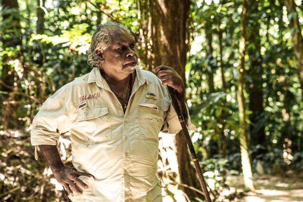 Roy Gibson, créateur des dreamtime walks au coeur des gorges de Mossman dans le Queensland #australie