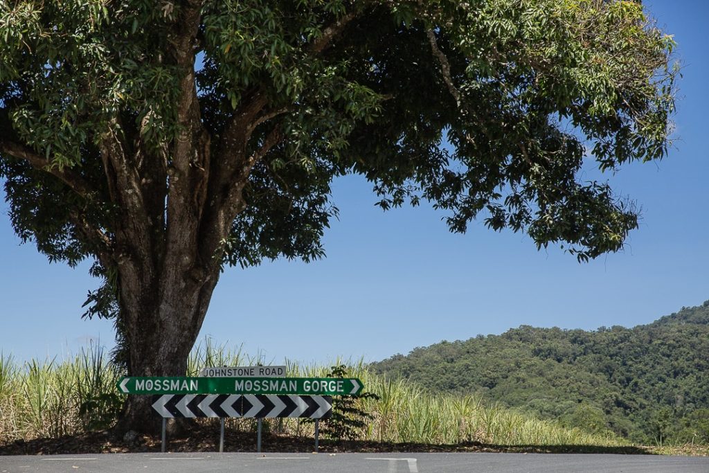 Road trip dans la forêt tropicale de Daintree #queensland #australie