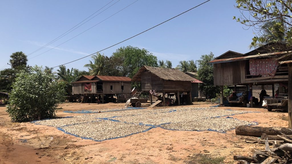 Vie simple du village de Banteay Chhmar au Cambodge