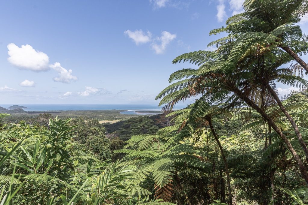 Vue du Mont Alexandra dans la forêt de Daintree #queensland #australie