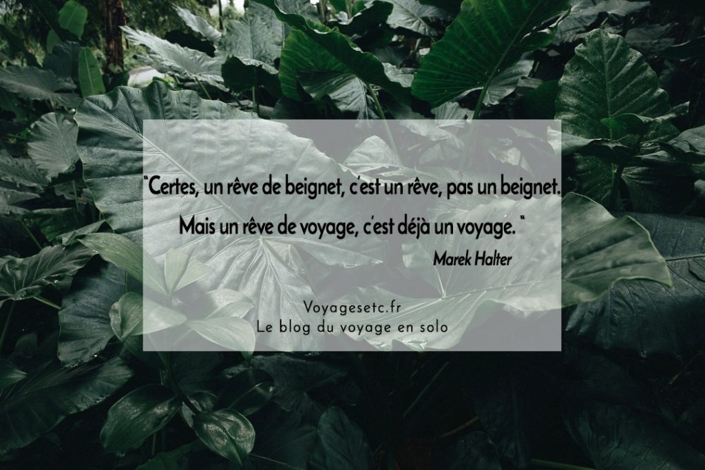 Un reve de voyage