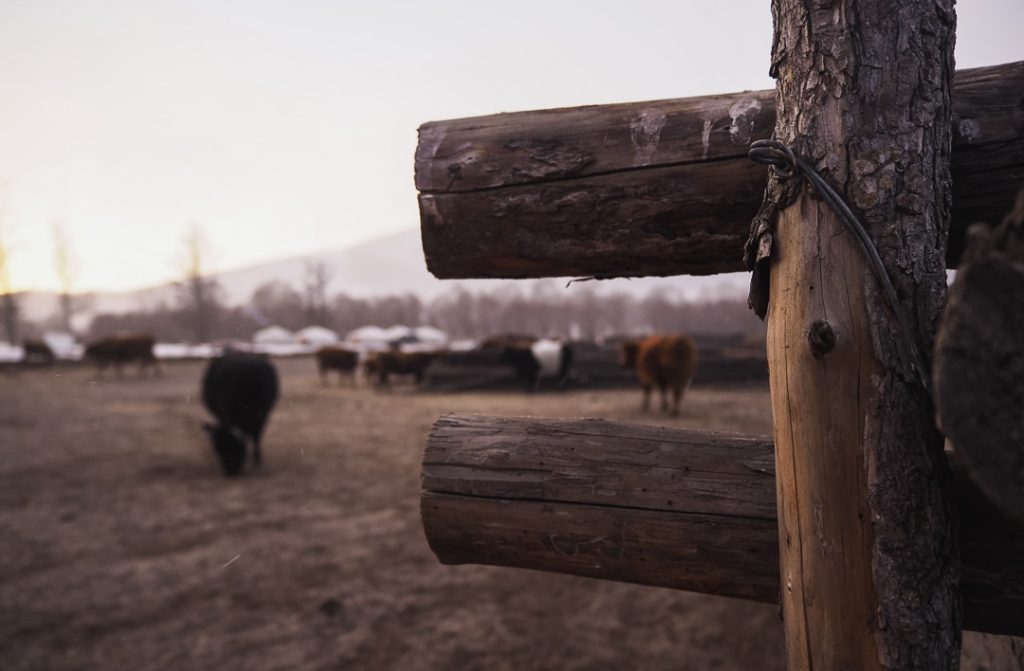 Voyager seule en Mongolie - Gaelle nous raconte ses 6 mois en Asie #voyagerseule