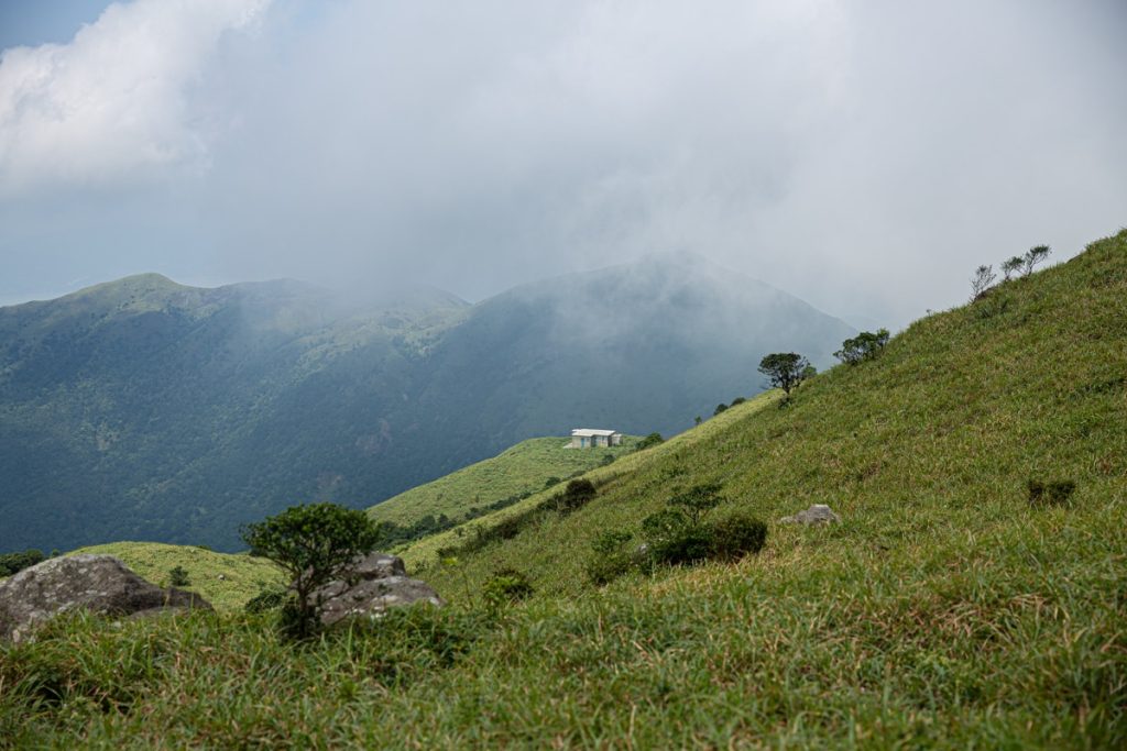 Hong Kong regorge de sites naturels. La randonnée au Sunset peak sur l'île de Lantau est l'une des options pour découvrir ceux-ci. #discoverHongKong #hongKong