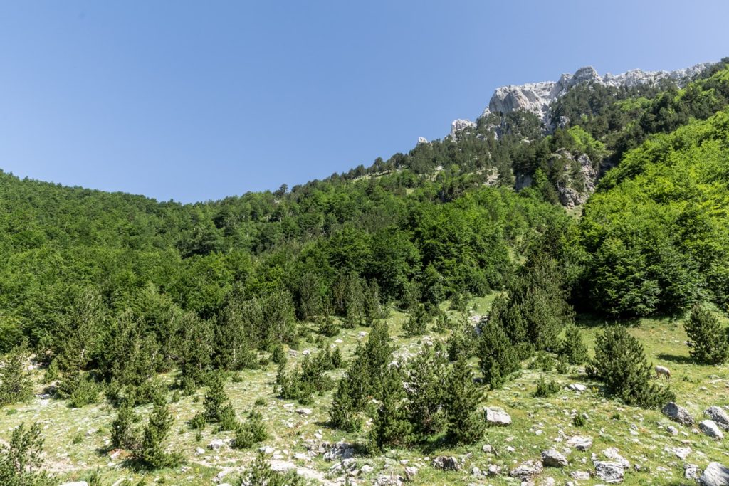 Le parc national de Theth est l'un des 12 parcs nationaux d'Albanie #albanie