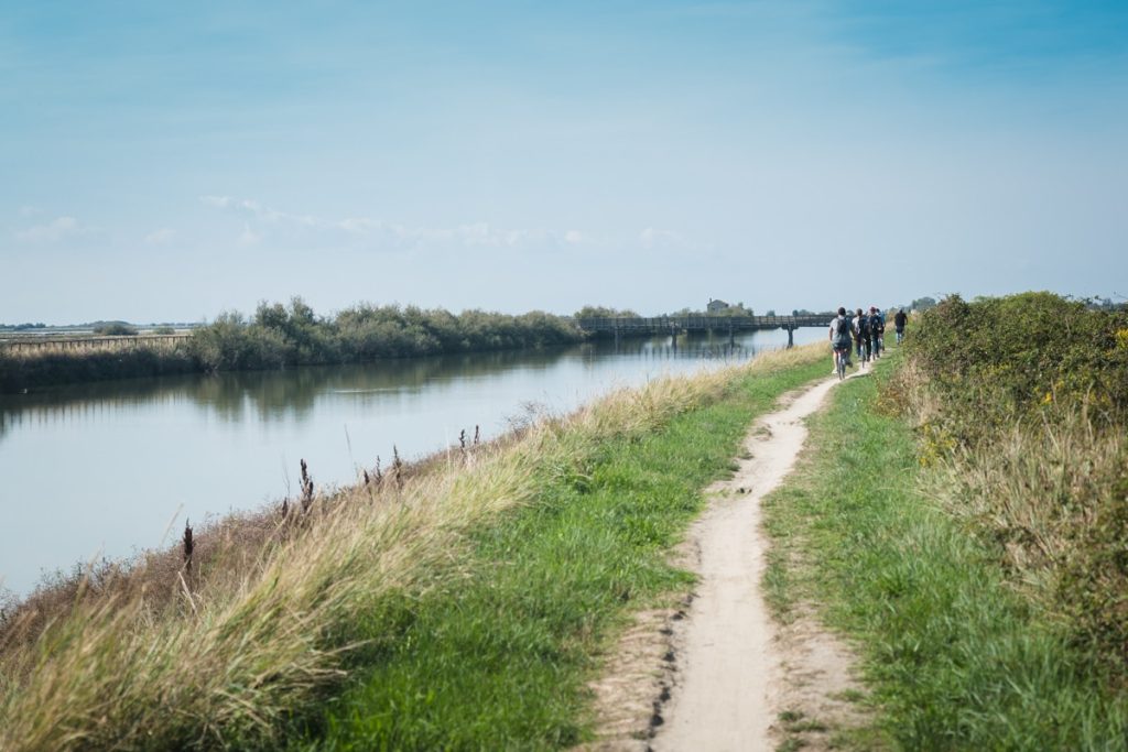 Le vélo est l'un des moyens pour découvrir le delta du Pô en Italie du nord #inemiliaromagna