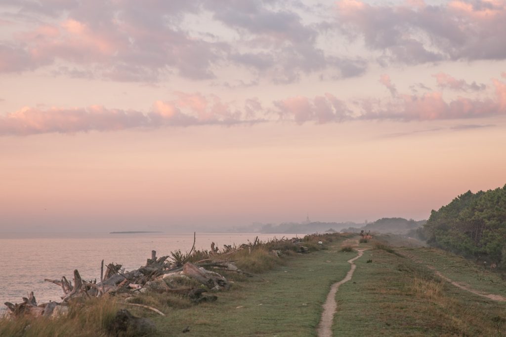 Lever de soleil avec les cerfs dans le delta du Po en Italie #inemiliaromagna