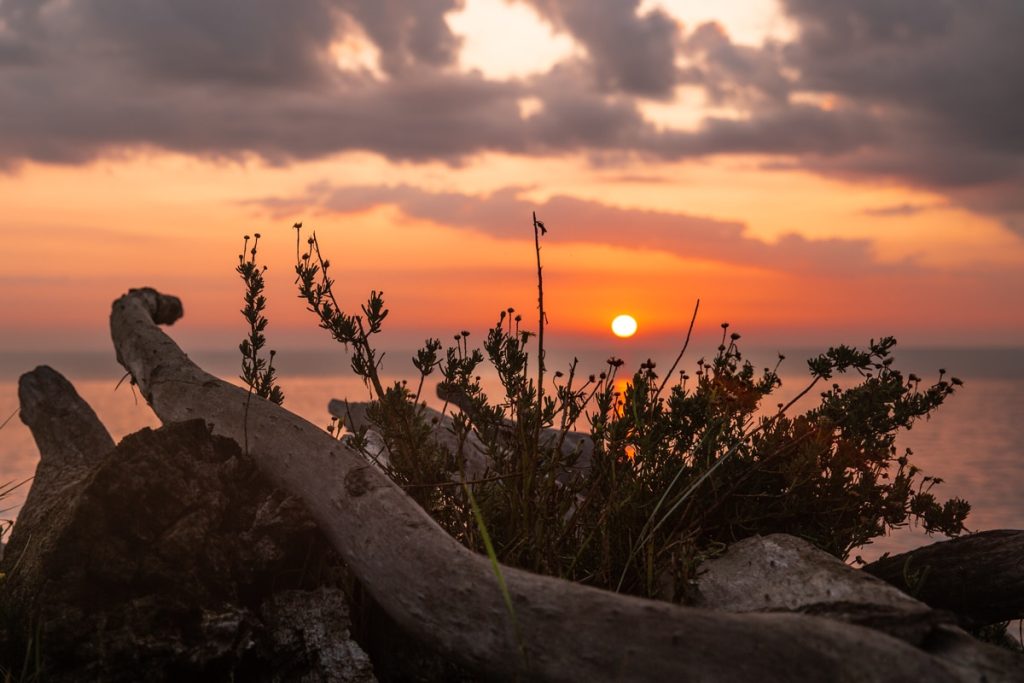 Lever de soleil dans le delta du Po en Italie #inemiliaromagna