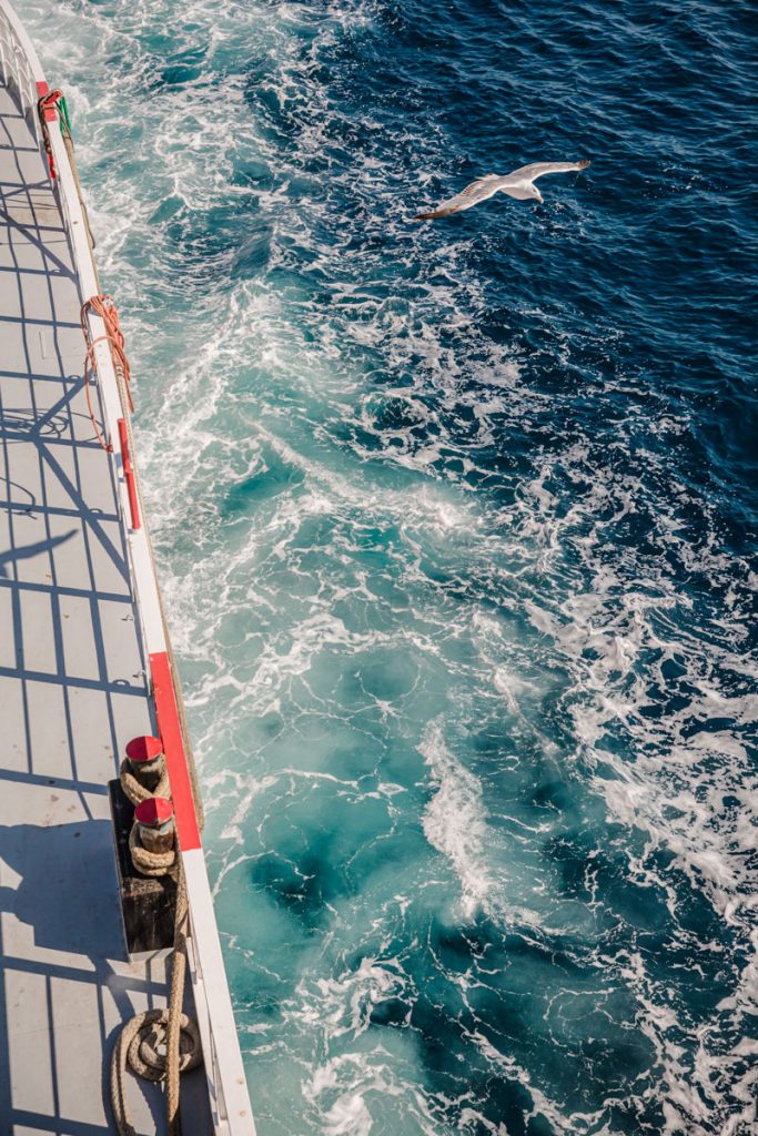Ferry pour Thassos avec les mouettes qui volent et suivent notre bateau