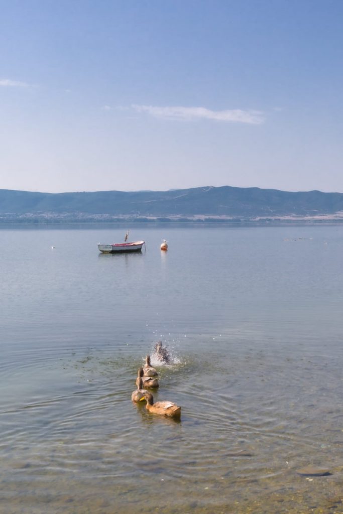 La douceur du la Volvi près de Thessalonique en Grèce