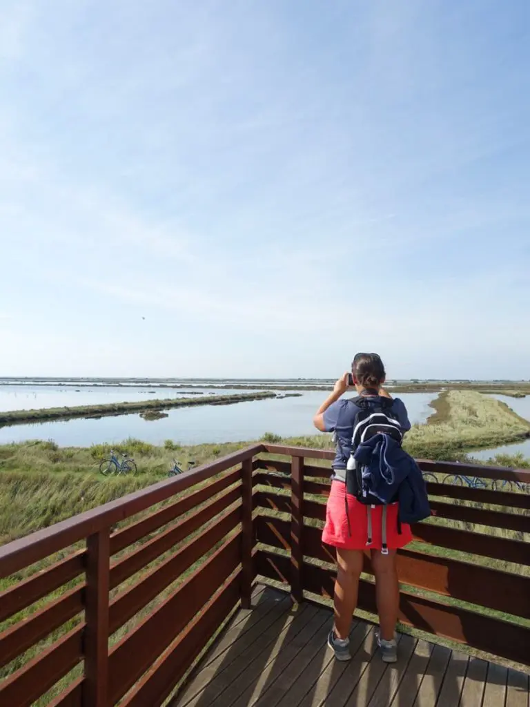 Voir des flamants roses dans le delta du Pô c'est possible. Pour les approcher de près, il faut aller découvrir le delta avec un guide de l'office de tourisme.
