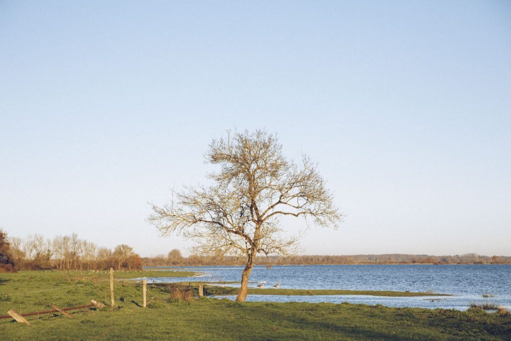Le lac de Grand Lieu à Saint Lumine de Coutais