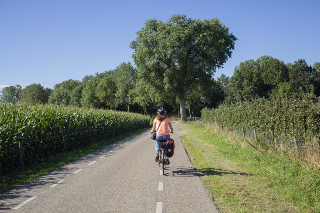 Velo-campagne-pays-bas