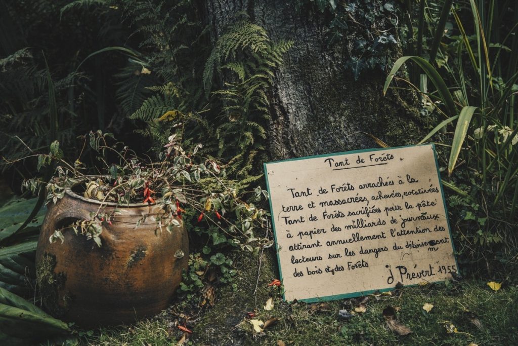 tant-de-forets-Jacques-prevert