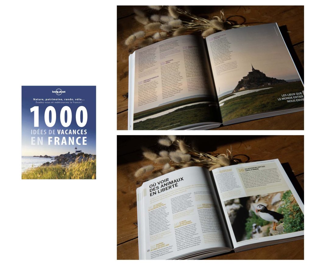 1000-idees-pour-voyager-en-france-lonely-planet