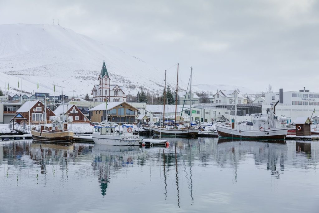 activites-islande-voir-des-baleines-husavik