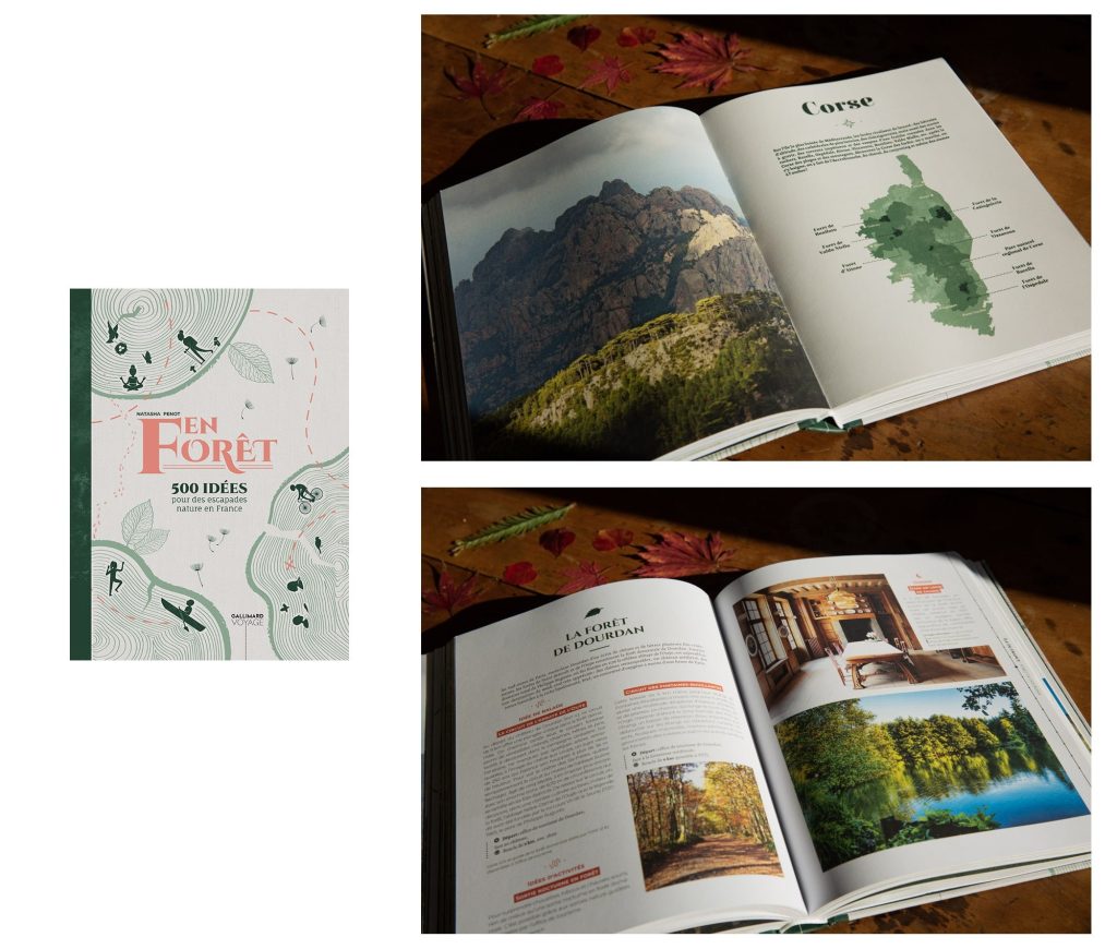 en-foret-gallimard