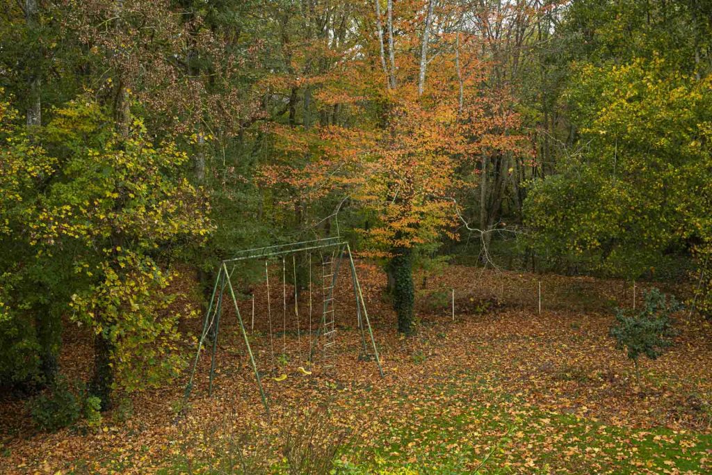 bonheur-decembre_