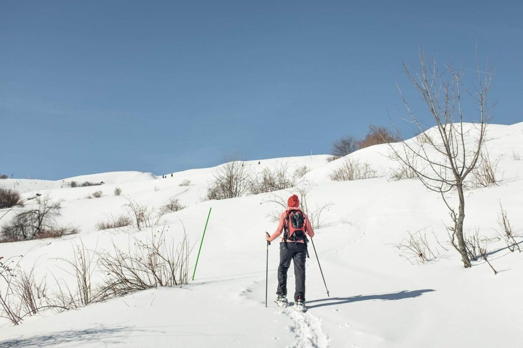 randonnee-en-raquettes-col-d-arves