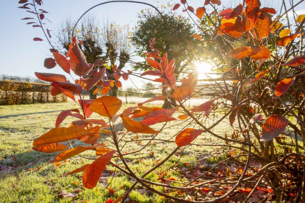 restrospective-2021-automne-dans-le-berry