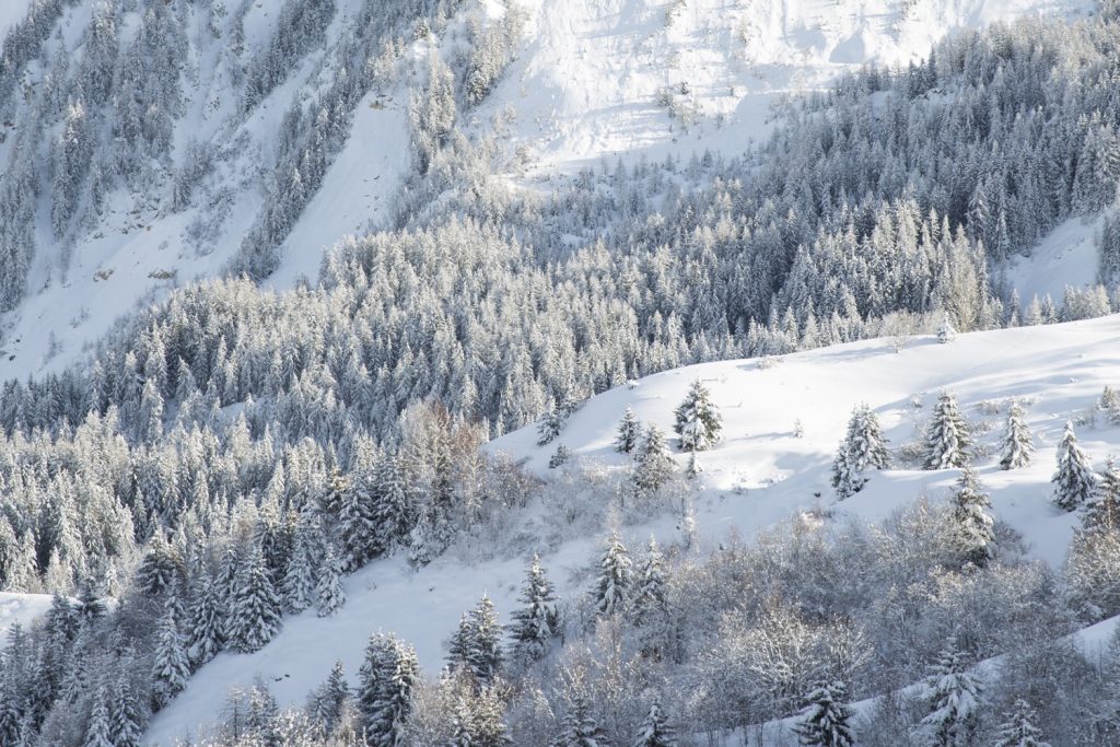 Combe-des-arvins-enneigee