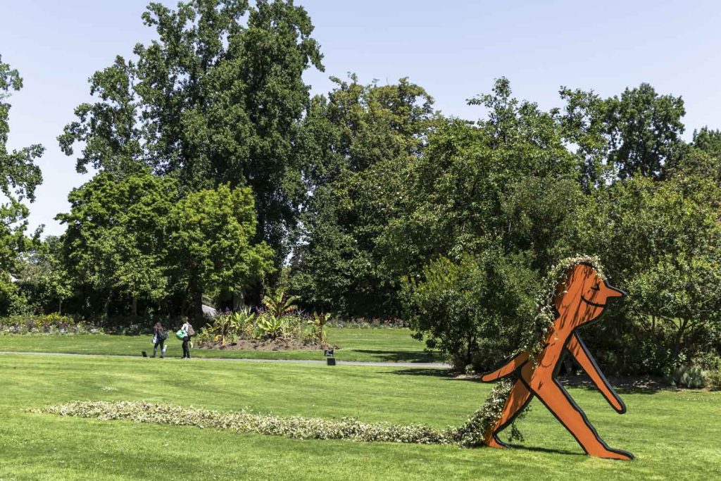 la-coiffe-Jean-jullien-jardin-des-plantes