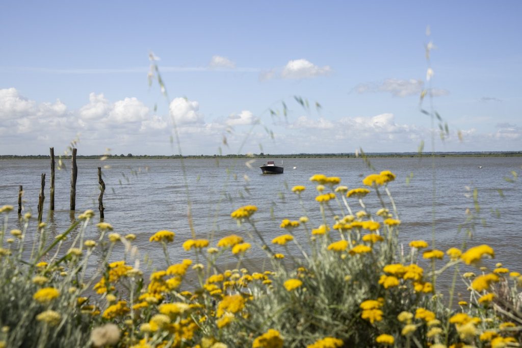 Paimboeuf, Loire Atlantique