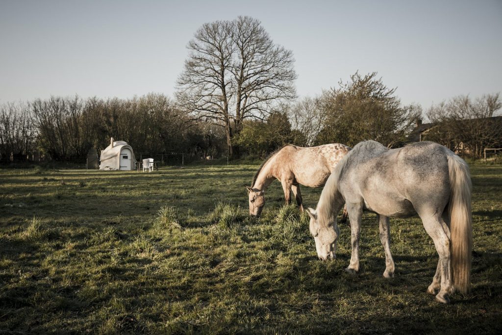 Logement insolite en Mayenne