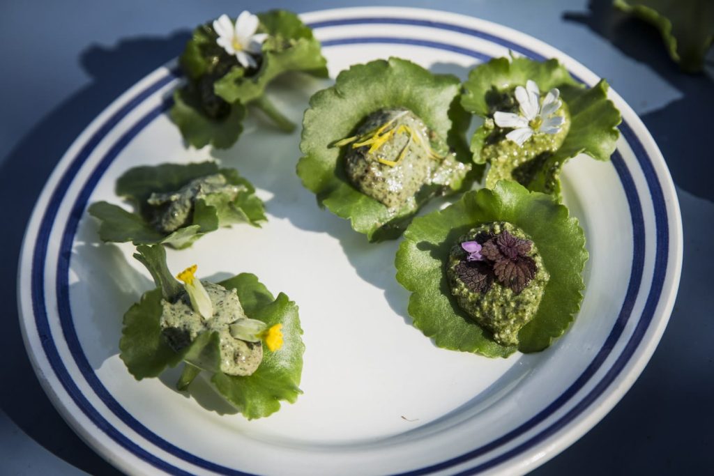 Pesto-de-plantes-sauvages-comestible