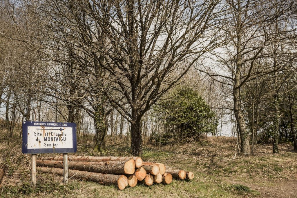 site-du-Montaigu-mayenne
