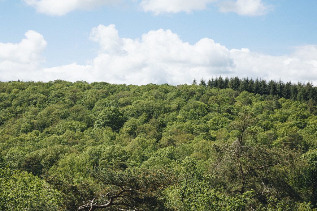 point-de-vue-alpes-mancelles