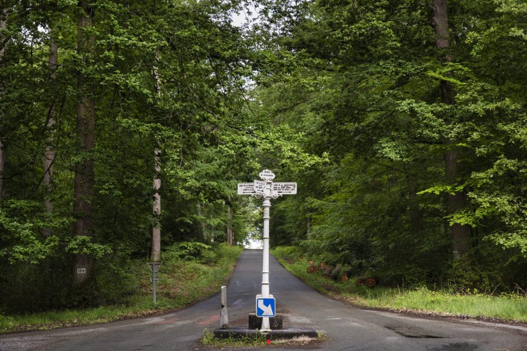 rond-point-foret-berce