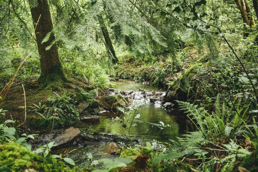 ruisseau-alpes-mancelles