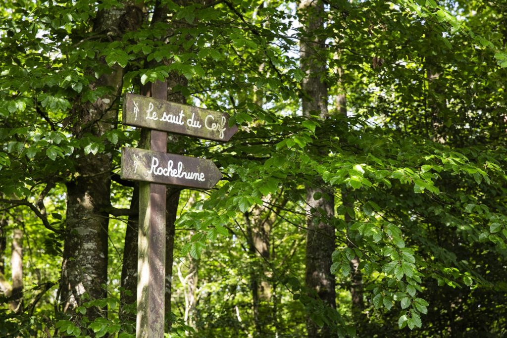 saut-du-cerf-alpes-mancelles