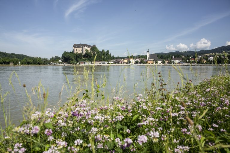 Grein, jolie ville sur le Danube