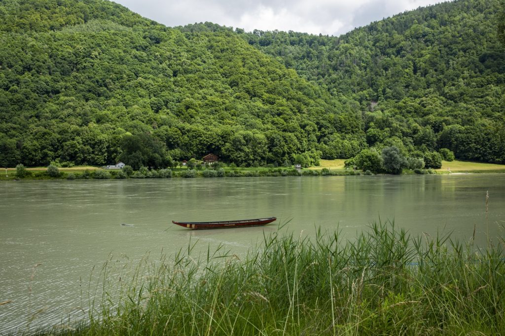 rives luxuriantes du Danube
