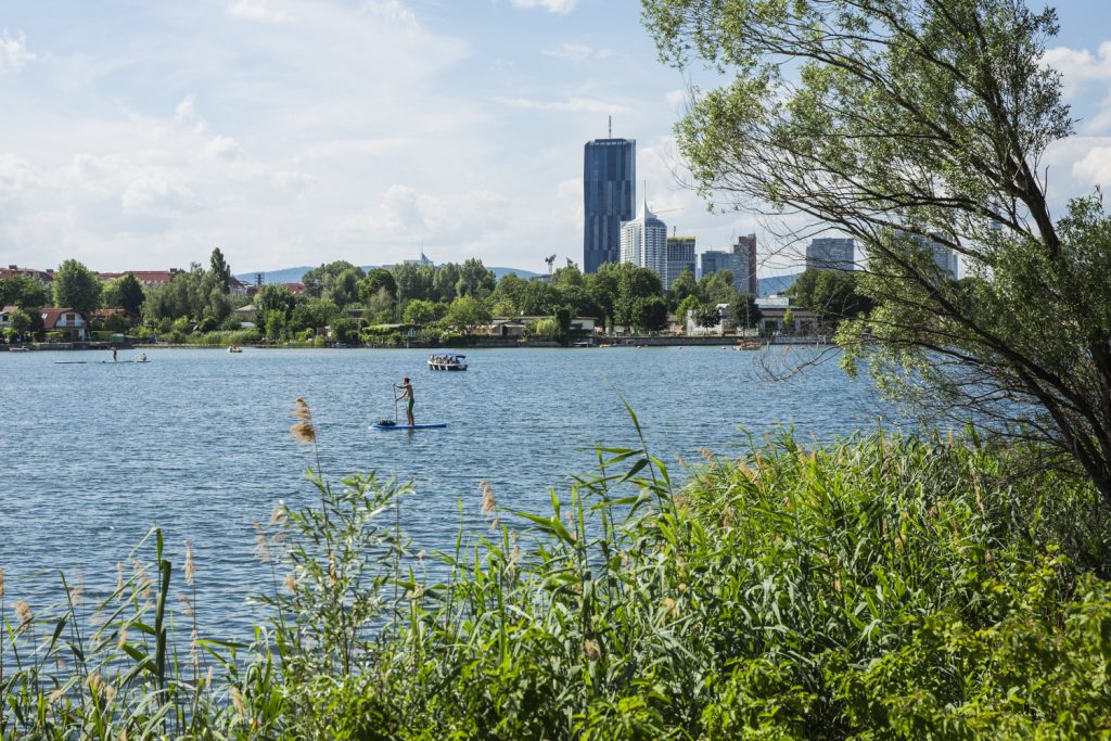 paddle-vieux-danube