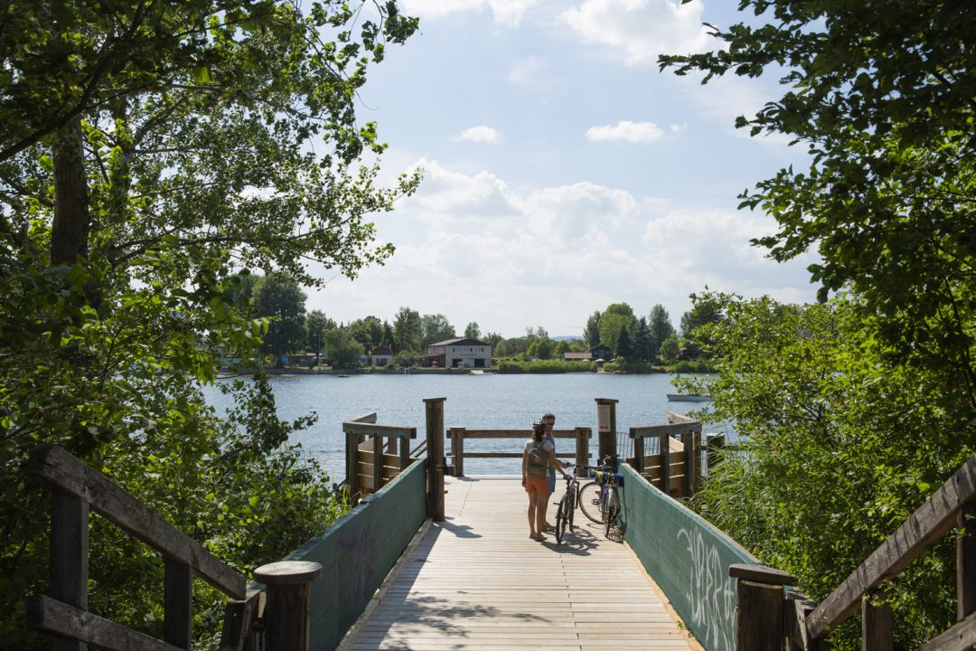 Découvrir le vieux Danube à vélo, à faire à vienne